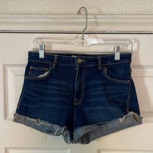 Zara Denim High Waisted Shorts